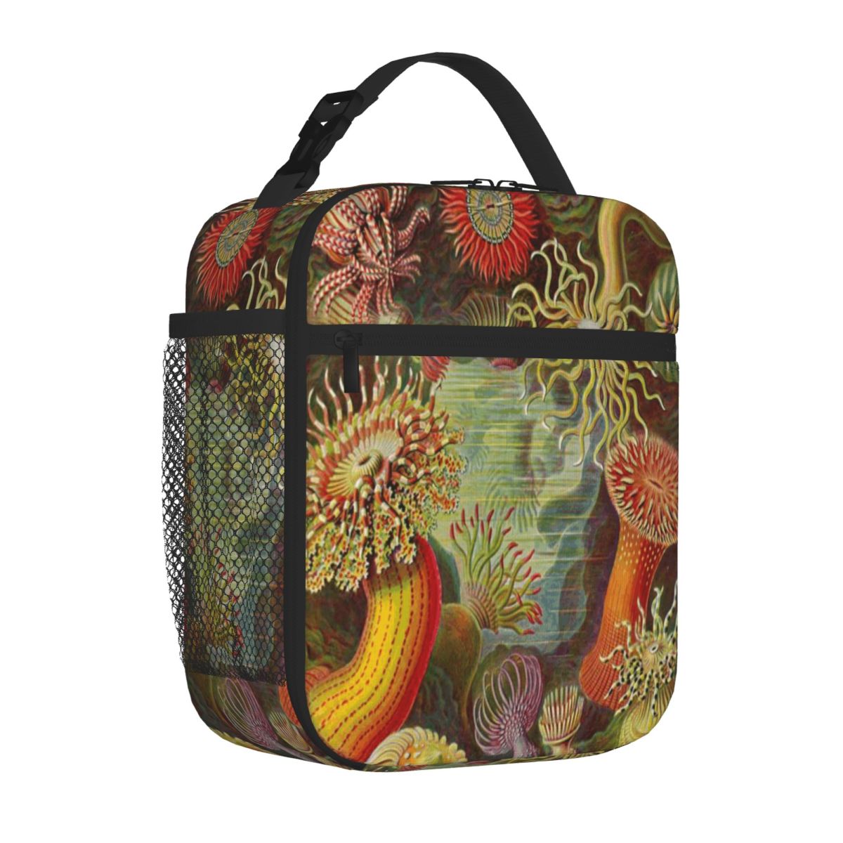 Hot Sale Sea Anemone - Ernst H - Meal Prep Diet recensie en prijs