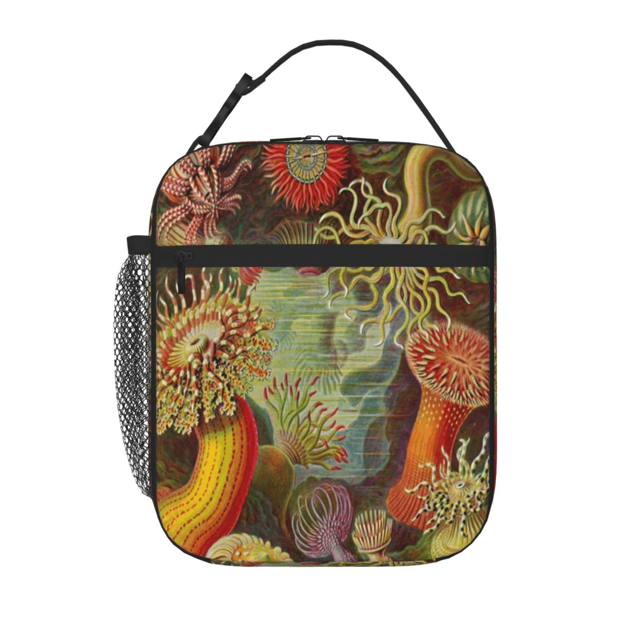 Hot Sale Sea Anemone - Ernst H - Meal Prep Diet recensie en prijs
